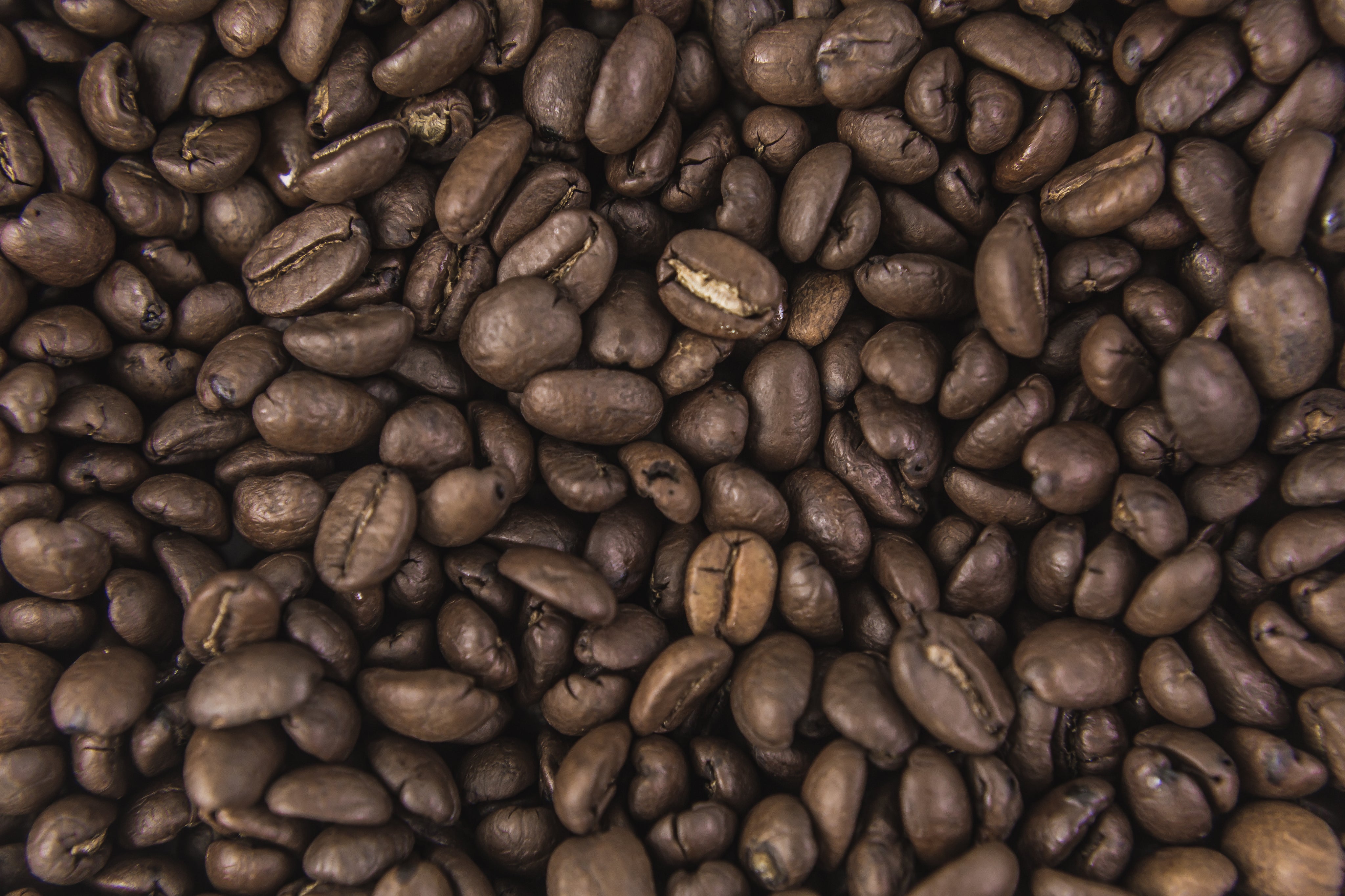 coffee-beans-from-above.jpg